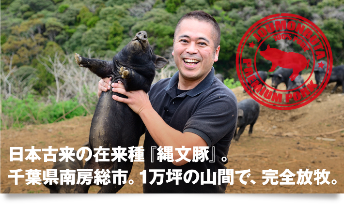 日本古来の在来種『縄文豚』。千葉県南房総市。1万坪の山間で、完全放牧。